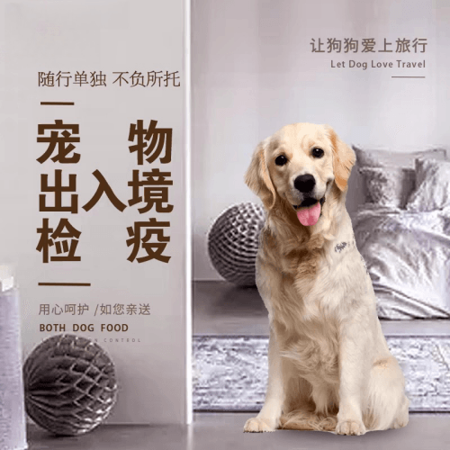 焦作市宠物托运到哥伦比亚猫狗宠物入境规定和