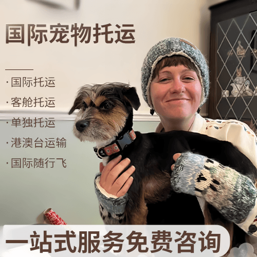 焦作市国际宠物托运到阿根廷宠物入境规定和要