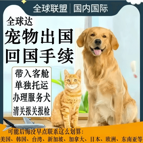 焦作市宠物托运到柬埔寨宠物入境规定和要求