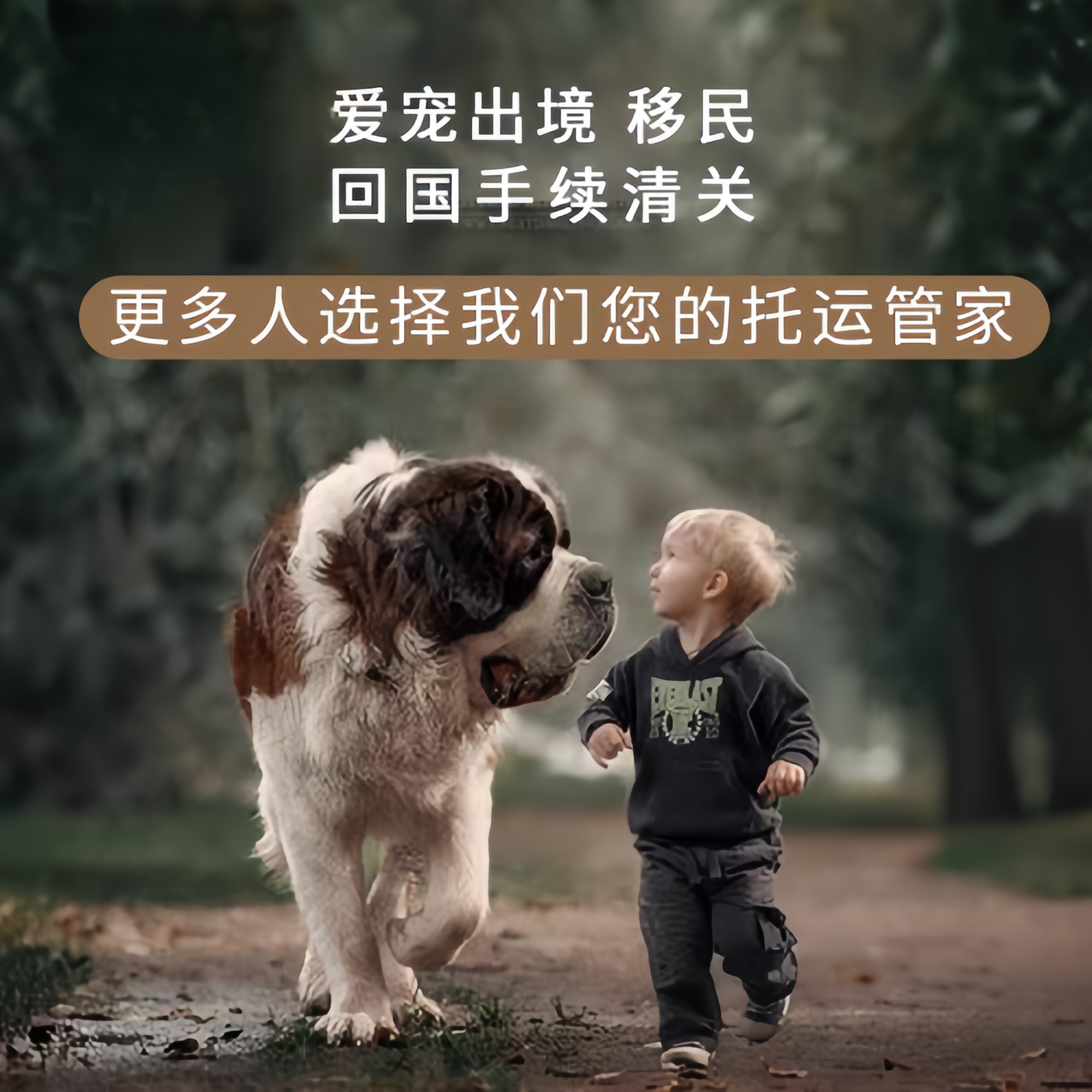 满财焦作市宠物全球达宠物托运在遵守入境目的地政策的条件